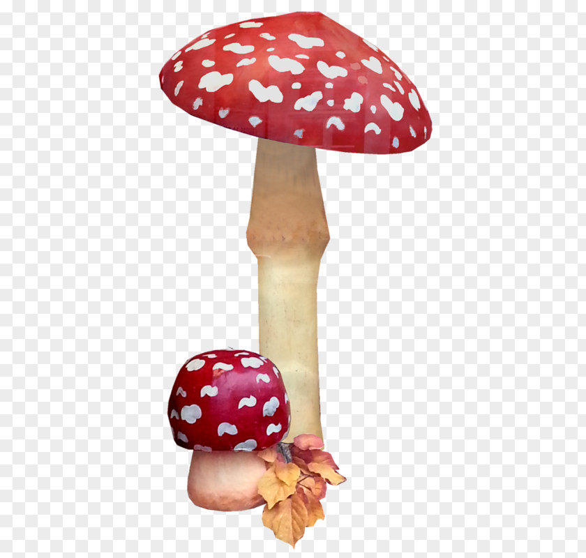 Mushroom Fly Agaric Common Fungus Clip Art PNG