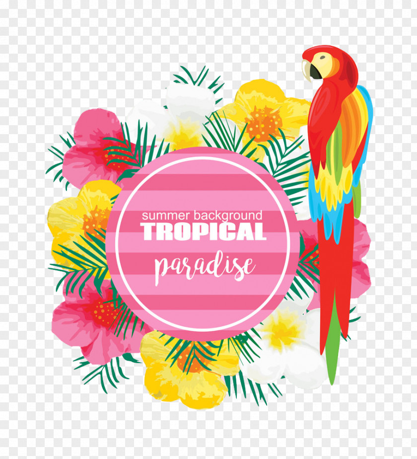 Pattern With Parrot Poster Photography Illustration PNG