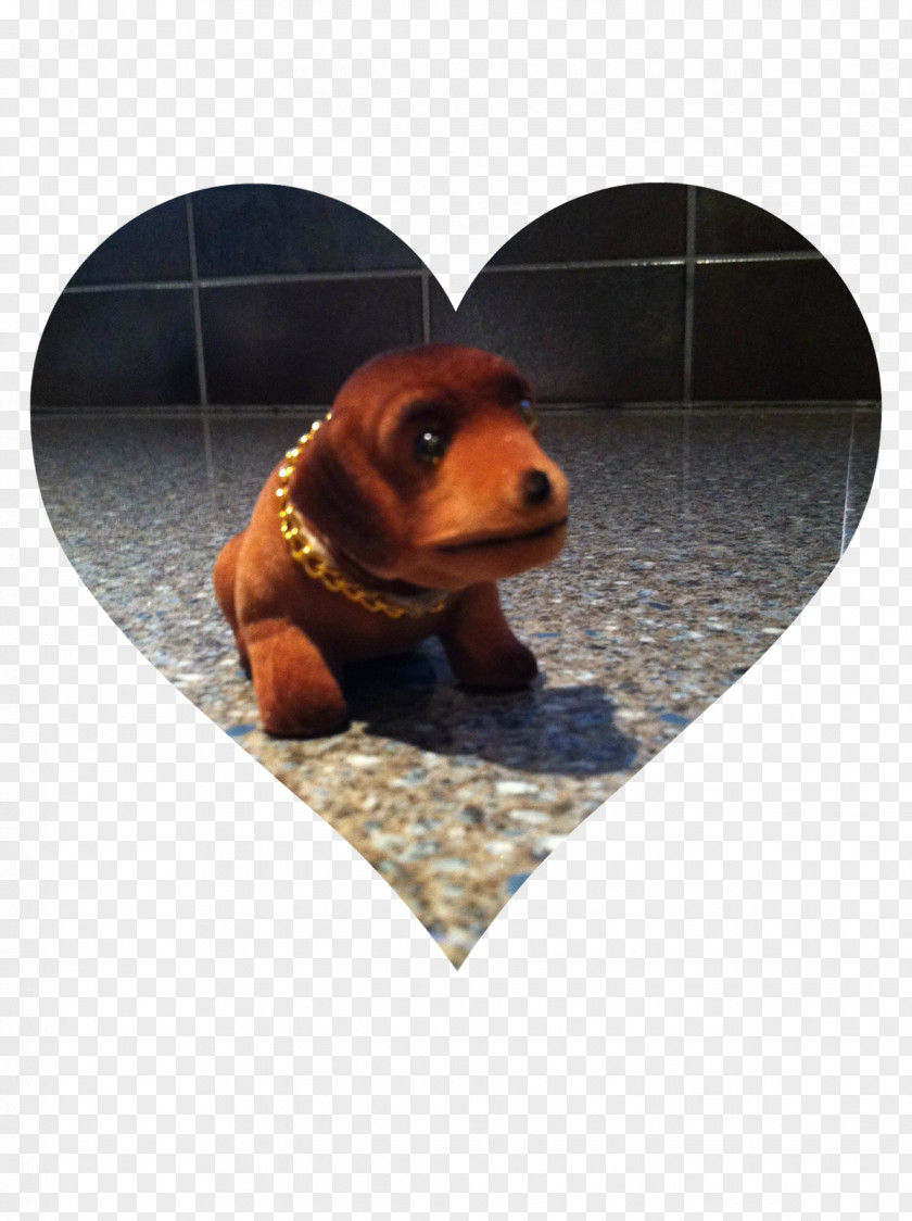 Puppy Dachshund Snout PNG