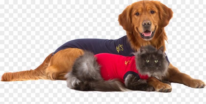 T-shirt Cat Dog Cap Sleeve PNG