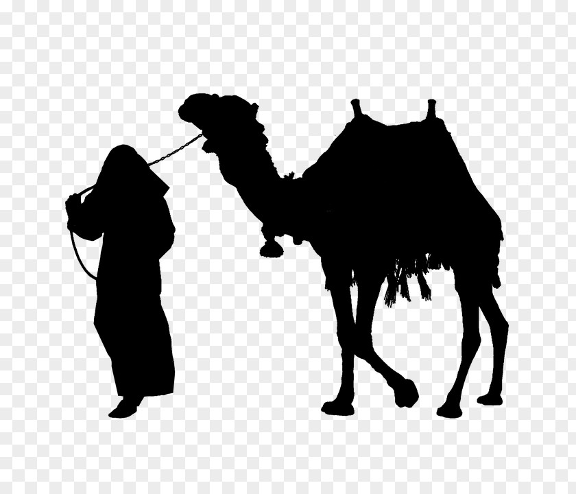 Camel Silhouette Clip Art PNG