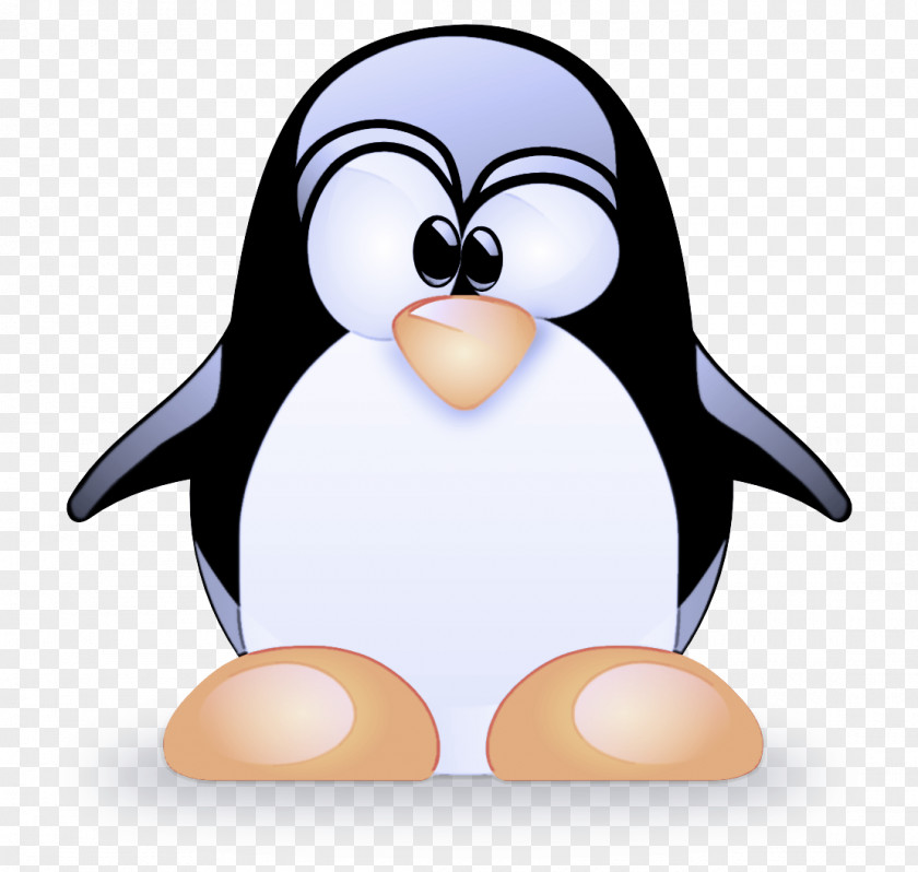 Emperor Penguin Beak PNG