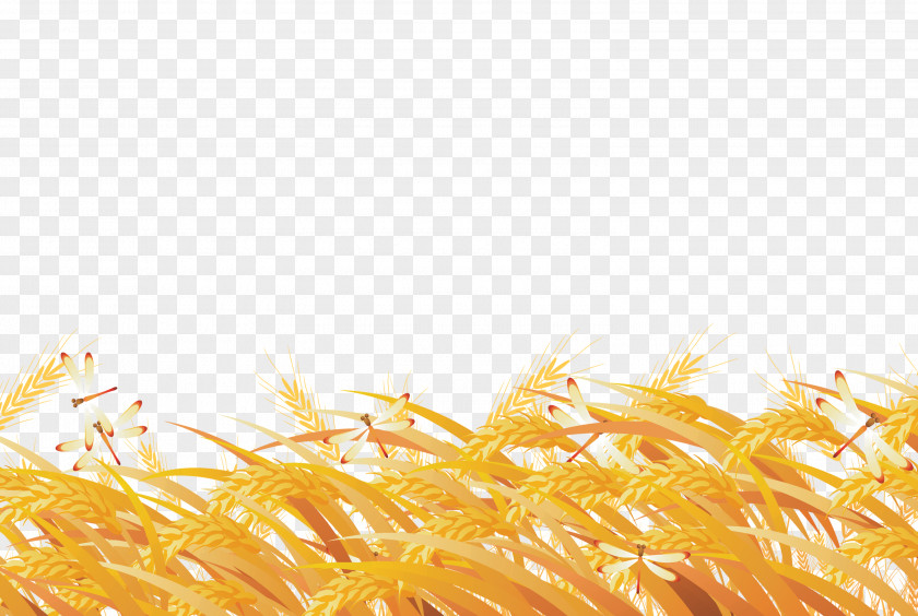 Hand-painted Golden Wheat Field Yellow Illustration PNG
