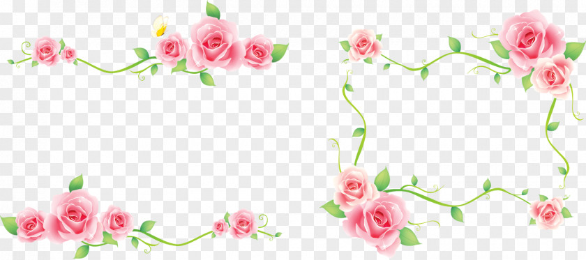 Lace Boarder Floral Design Clip Art PNG