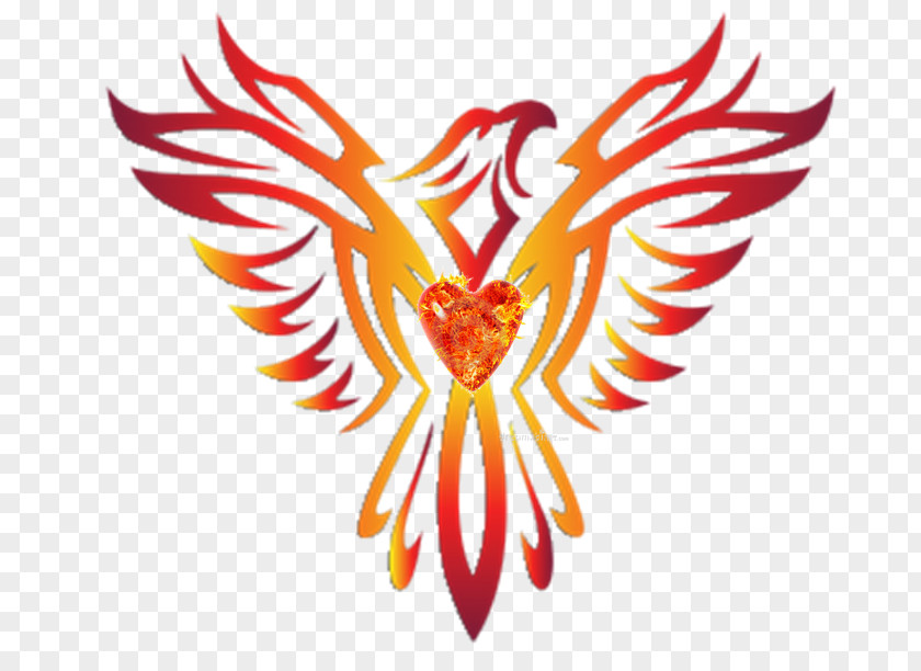 Phoenix Wings T-shirt Clip Art PNG