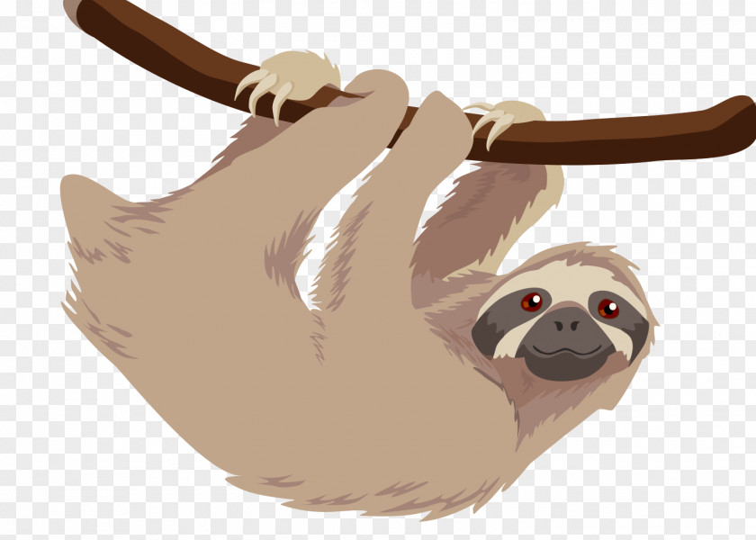 Sloth Hoffmann's Two-toed T-shirt Baby Sloths Three-toed PNG
