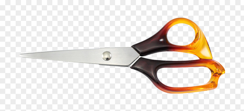 Tailor Scissors Angle PNG