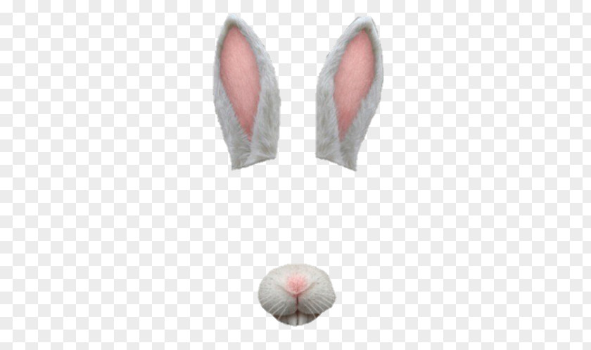 Bunny Ear Photographic Filter Display Resolution Clip Art PNG