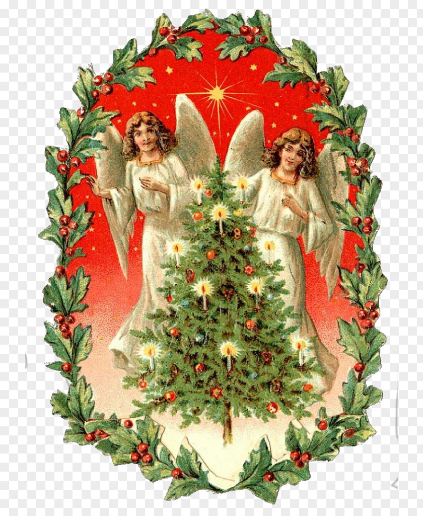 Fir Ornament Christmas Decoration PNG