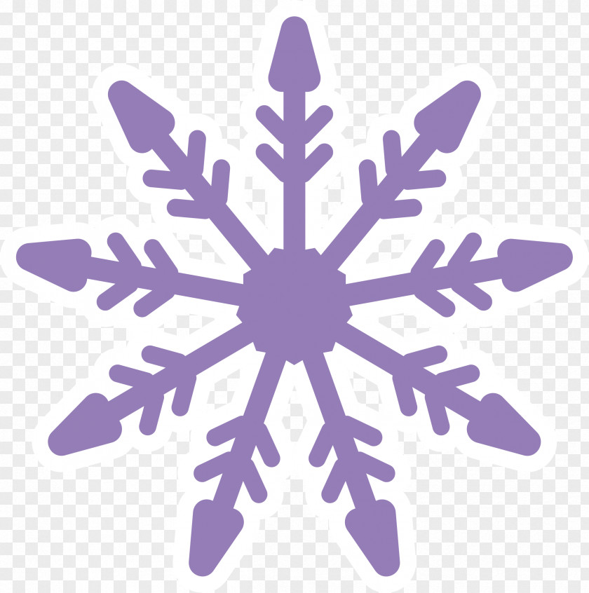 Purple Cartoon Snowflake Shape Drawing PNG