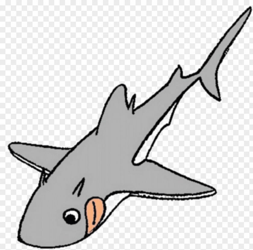 Shark Clip Art Marine Mammal Sea Hybodus PNG