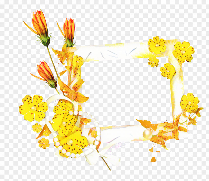 Tagetes Herbaceous Plant Flowers Background PNG