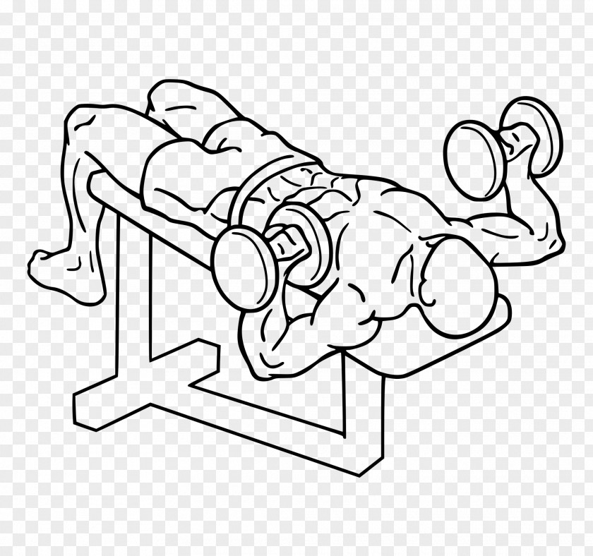 Dumbbell Bench Press Exercise Fly PNG