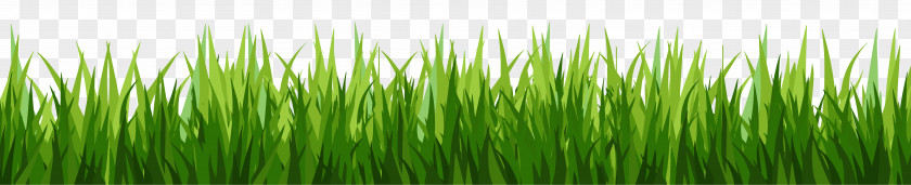 Grass Lawn Desktop Wallpaper Clip Art PNG