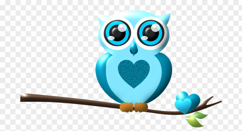 Owl Bird Clip Art PNG