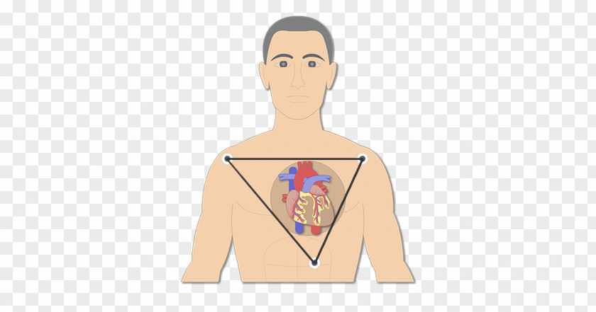 Standard Test Image Electrocardiography Bipolar Disorder Electrical Conduction System Of The Heart PNG