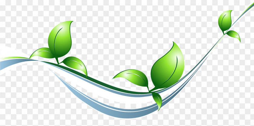 Ecodesign Leaf PNG