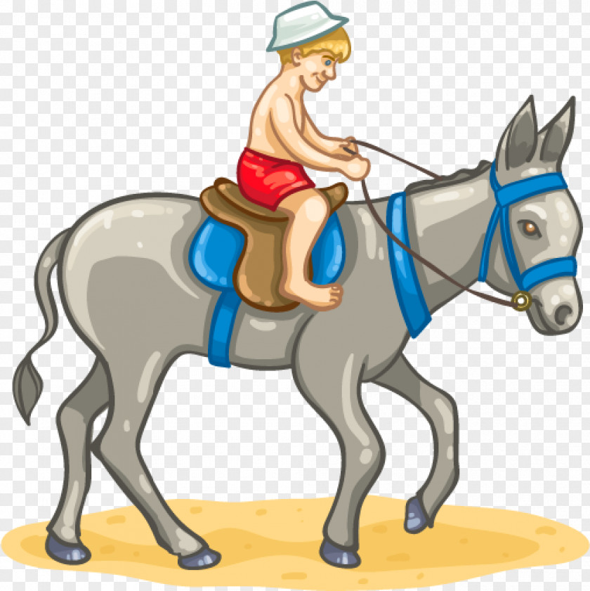 Horse Harness Saddle Cartoon PNG