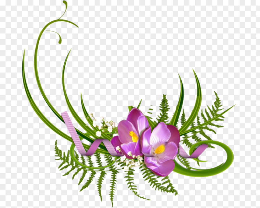 Ment Desktop Wallpaper Flower Clip Art PNG