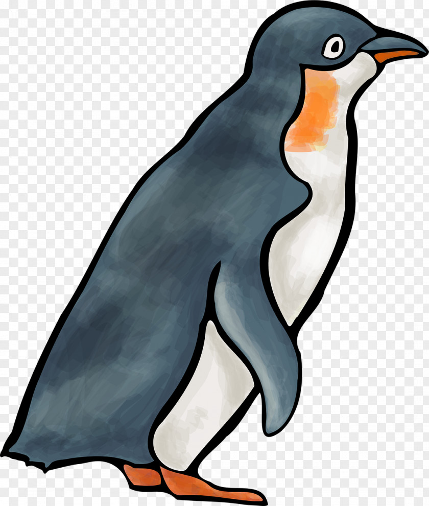 Penguin Flightless Bird Animal PNG
