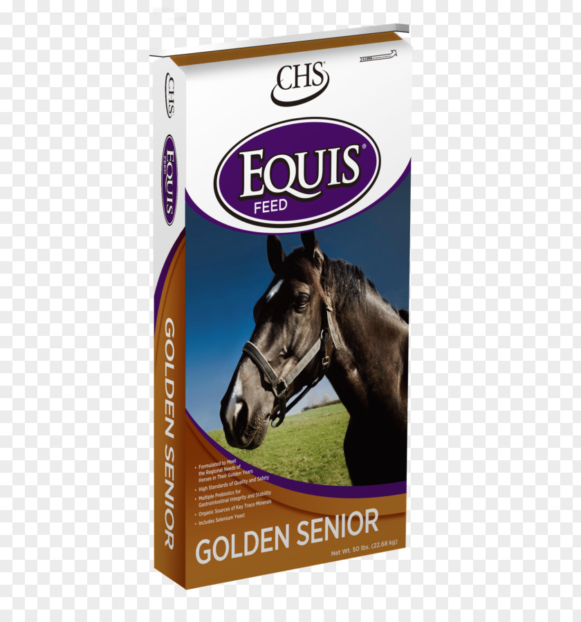 Welcome Summer Mustang Equine Nutrition Fodder Food Hay PNG