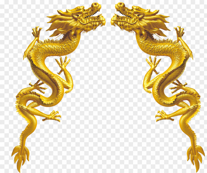 Dragon Decorative Pattern Computer File PNG