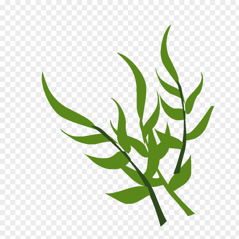 Leaf Grasses Plant Stem Tree Clip Art PNG