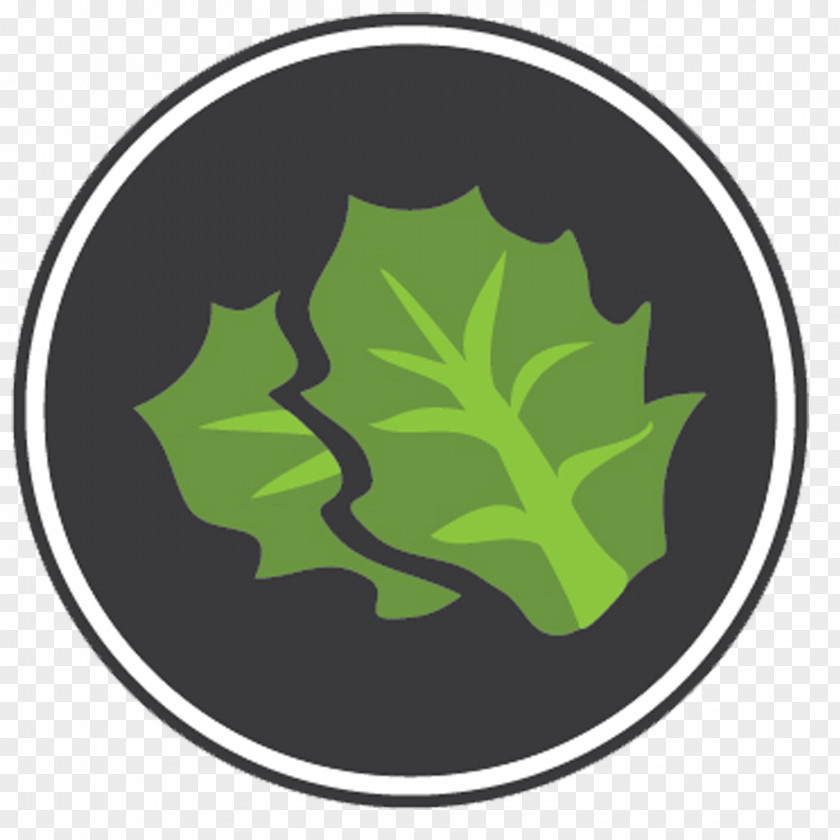 Lettuce Food Management Leaf PNG
