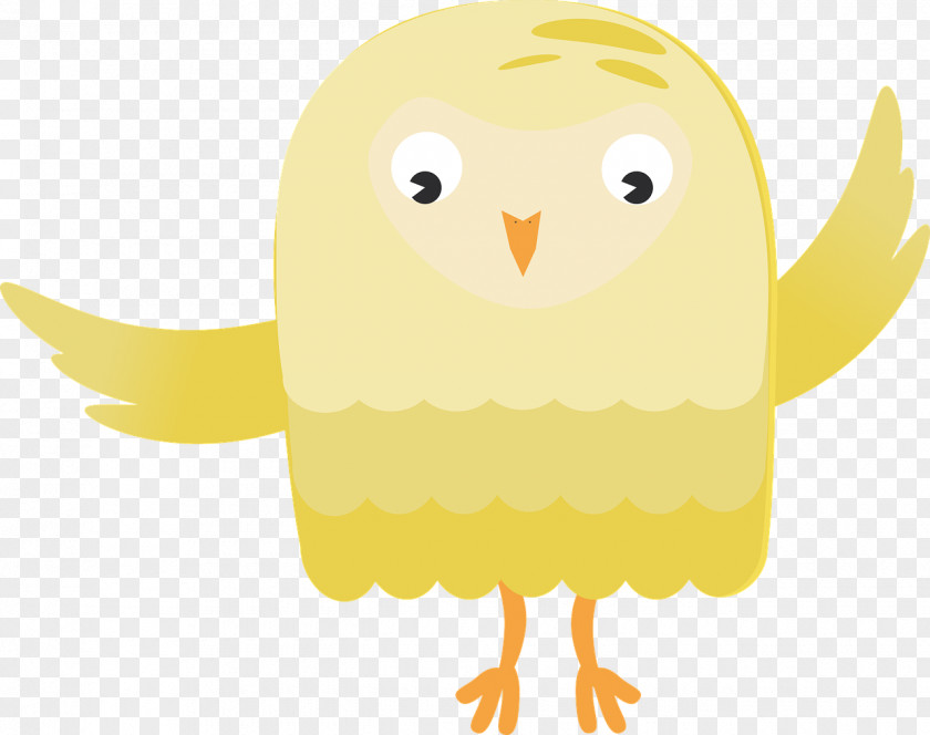 Owl Bird Chicken Photography Yellow PNG