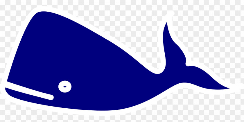 Whale Blue Beluga Clip Art PNG