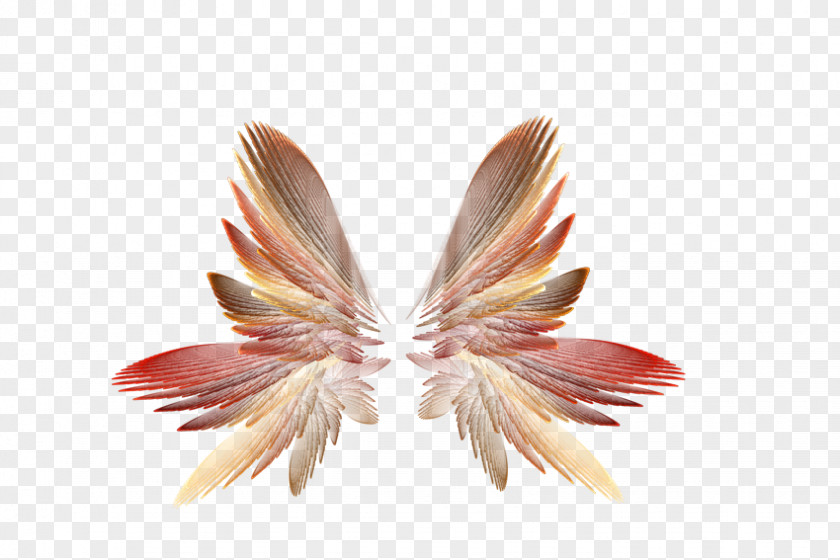 Wings tree Clip Art Psd Adobe Photoshop Image PNG