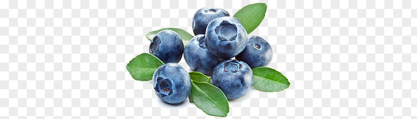 Blueberries PNG clipart PNG