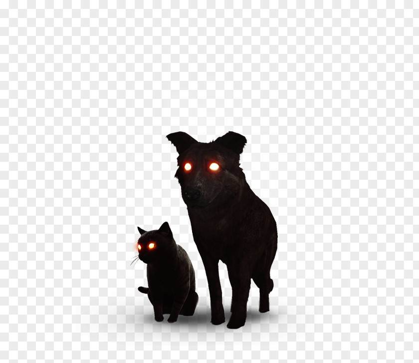Catanddogblackandwhite Black Cat Bombay Korat Dog The Witcher PNG