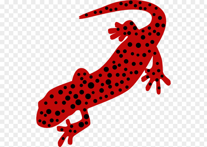 Jordan Reed Parents Fire Salamander Newt Clip Art Free Content PNG