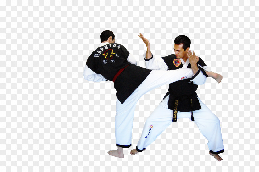 Karate Hapkido Martial Arts Combat Sport Taekwondo PNG