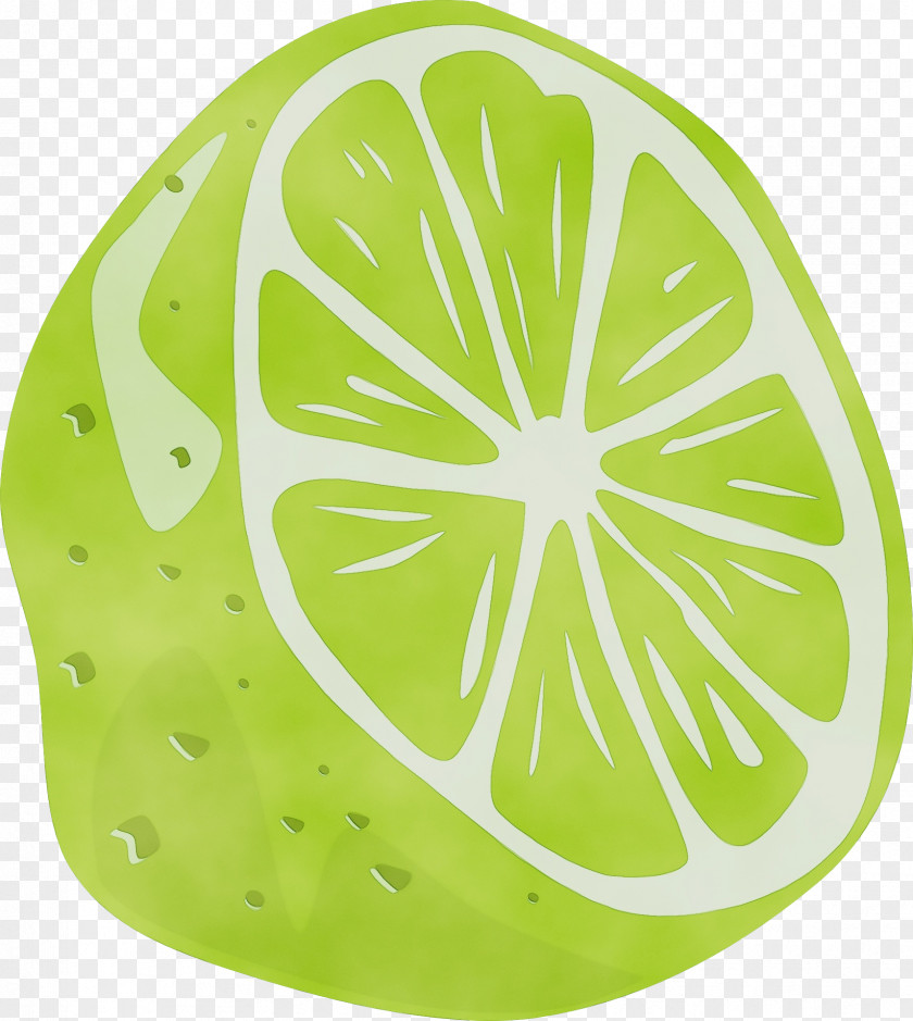 Lemon Fruit Green Leaf Citrus Plant Clip Art PNG