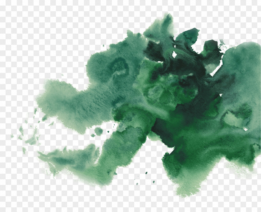 Watercolor Cactus Collection Painting Green Tea PNG