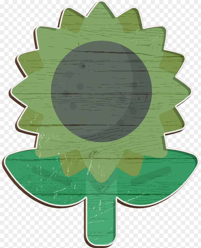 Nature And Animals Icon Flower Sunflower PNG