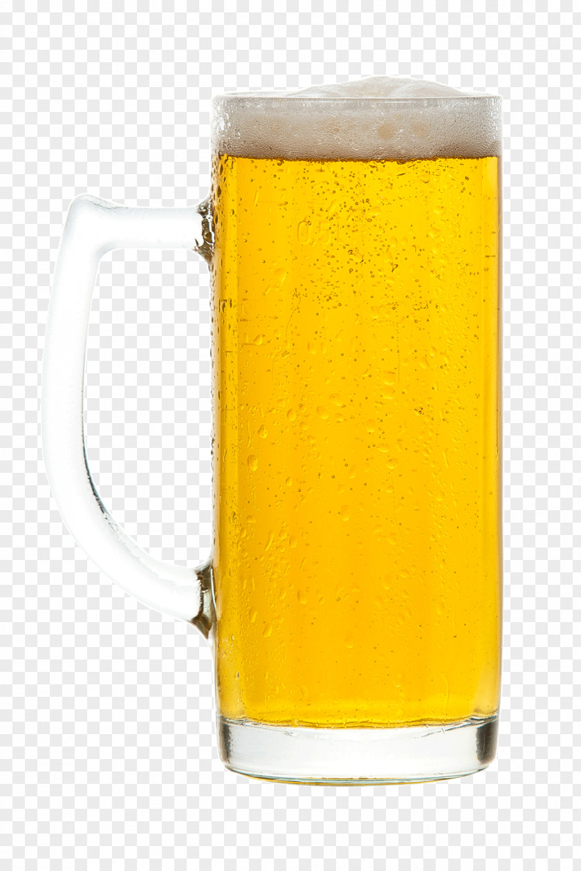 Beer Stein Pint Glass Glasses PNG