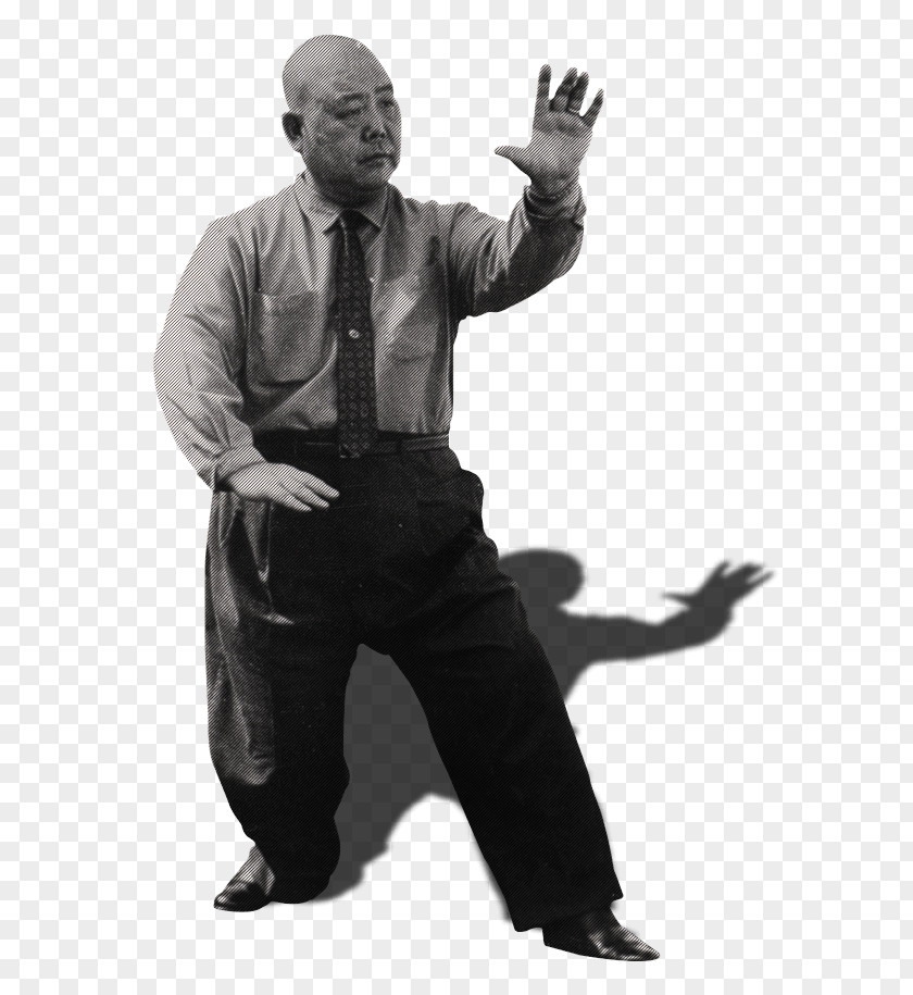 Cheng Ming Festival Chinese Martial Arts Black And White Human Behavior Professional PNG