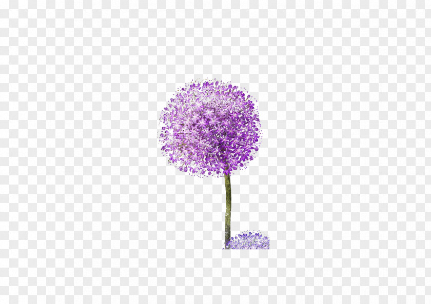 Purple Dandelion Wallpaper PNG
