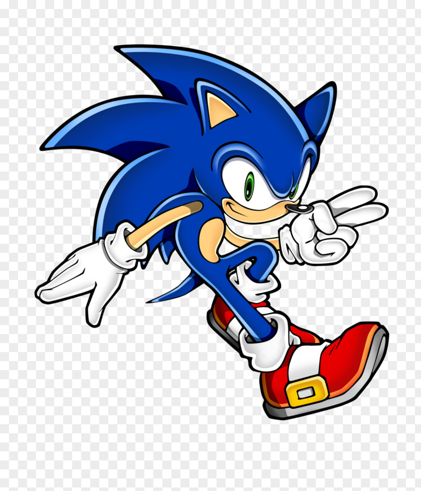 Sonic Rush Battle The Hedgehog Adventure Amy Rose Shadow PNG