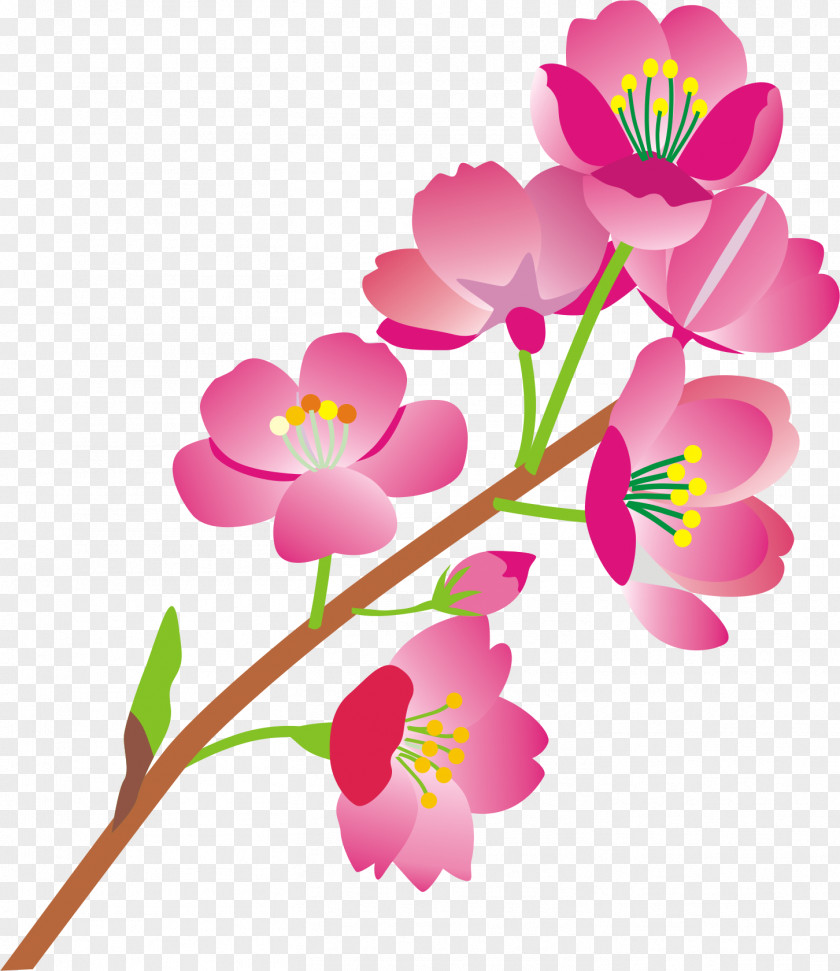 荞麦面 Windows Thumbnail Cache Flower Floral Design 0 PNG