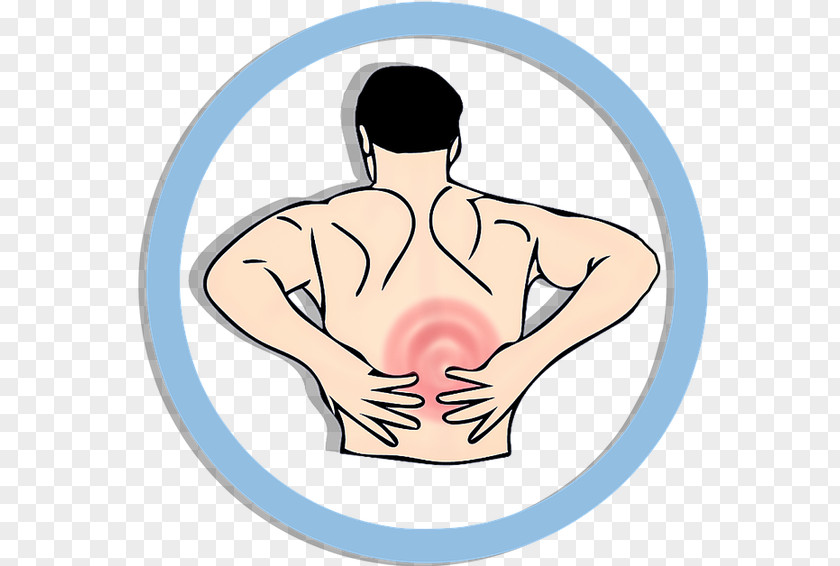 Back Pain Muscle Human Management PNG