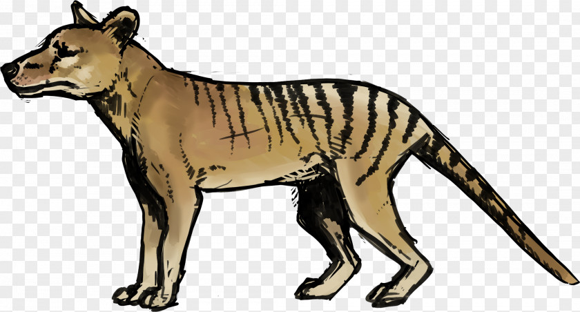 Holocene Animals Prehistoric Thylacine Ty The Tasmanian Tiger Image PNG