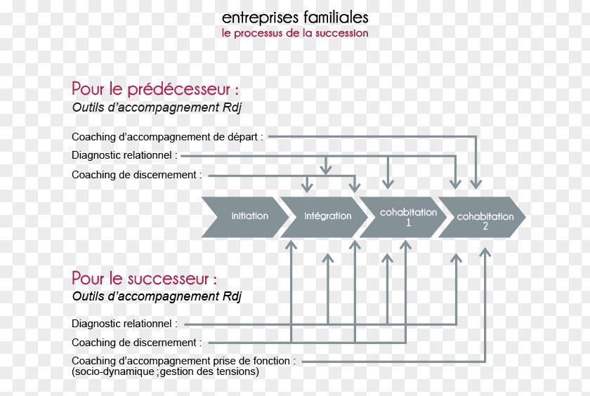 Ion Organization Family Business Processus Management Inheritance Law PNG