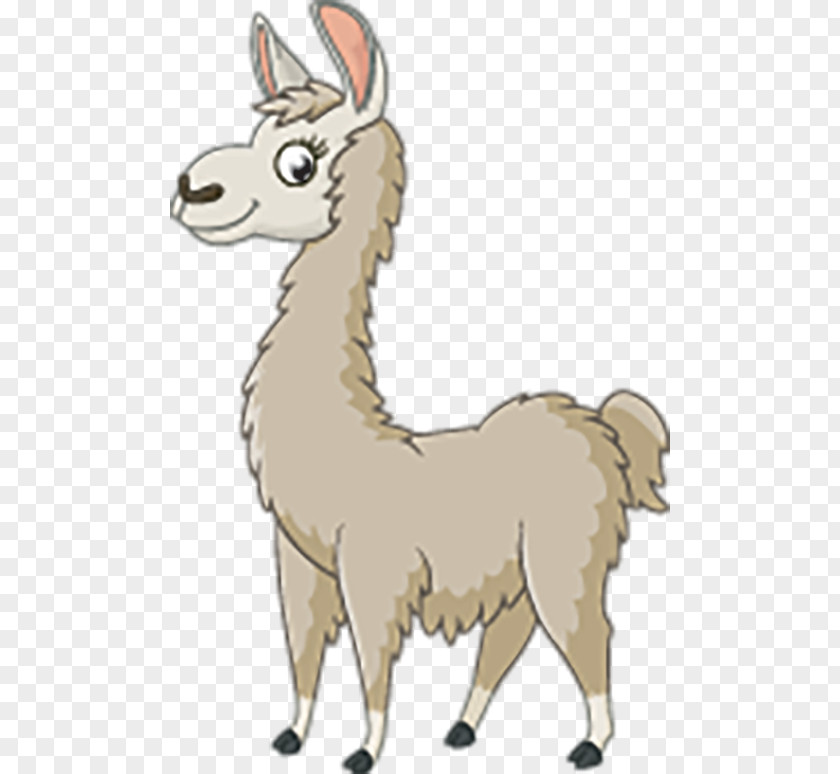 Llama Royalty-free Clip Art PNG
