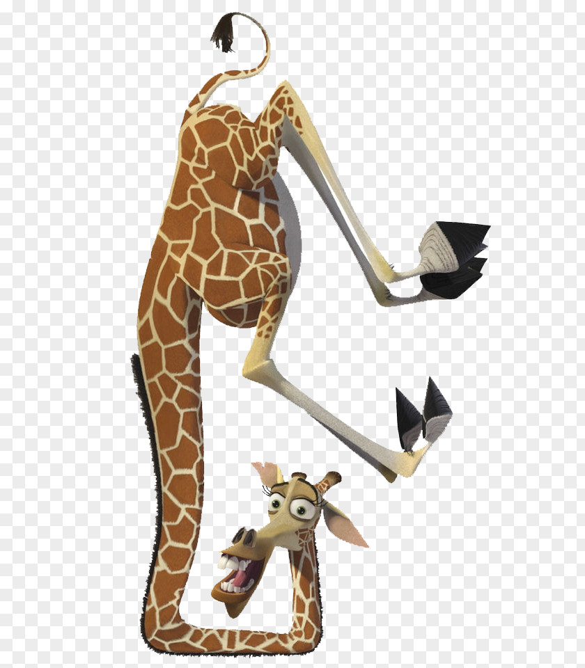 Melman Alex Gloria Skipper Madagascar PNG