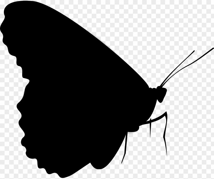 Brush-footed Butterflies Moth Clip Art Silhouette M. Butterfly PNG