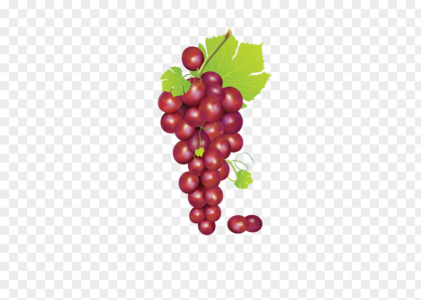 Bunch Of Grapes Grape Fruit Clip Art PNG